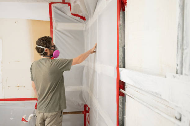 Best Environmental Consulting for Mold Prevention  in Bagley, MN
