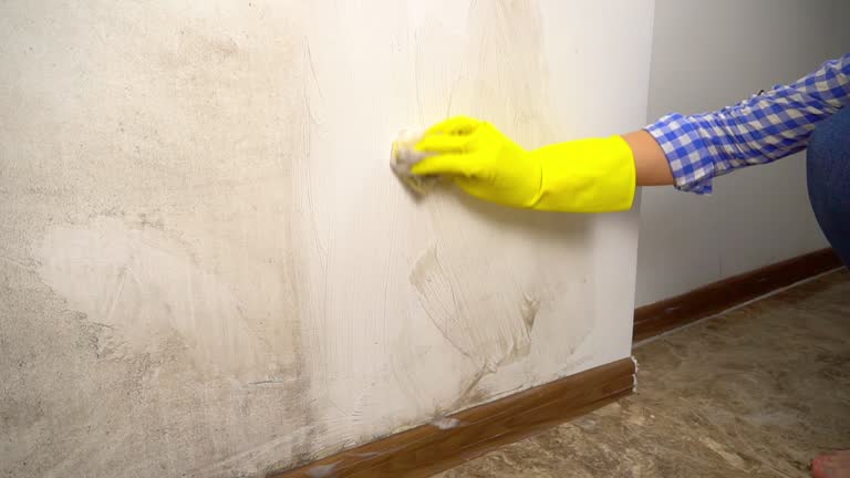 Best HVAC Mold Inspection and Cleaning  in Bagley, MN